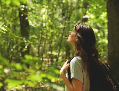 Bloggerin steht im Wald und schaut hoch in die Bäume